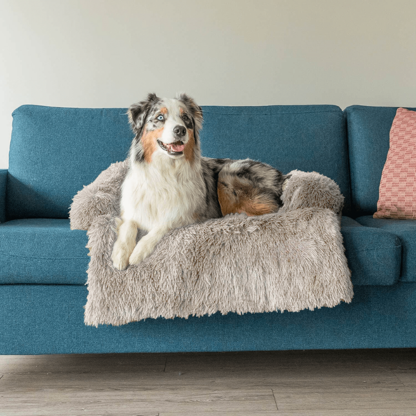 Stella | Große Hundematte mit Möbel-Schutzfunktion