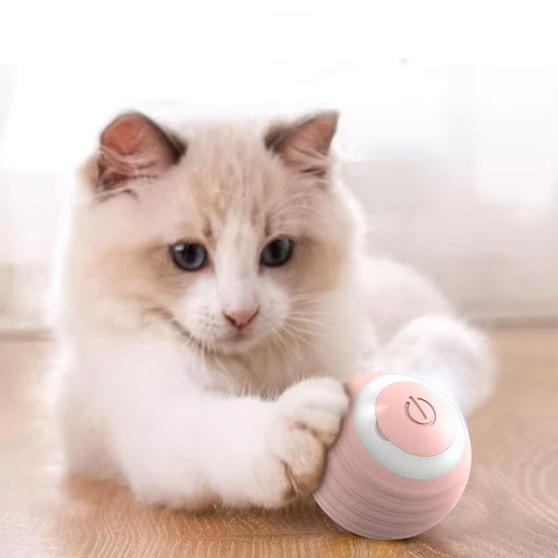 Rollino | Intelligenter Spielball für neugierige Katzen