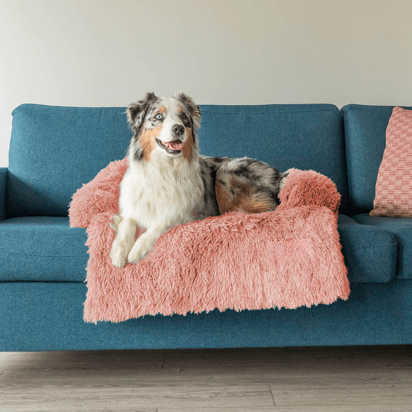 Stella | Große Hundematte mit Möbel-Schutzfunktion