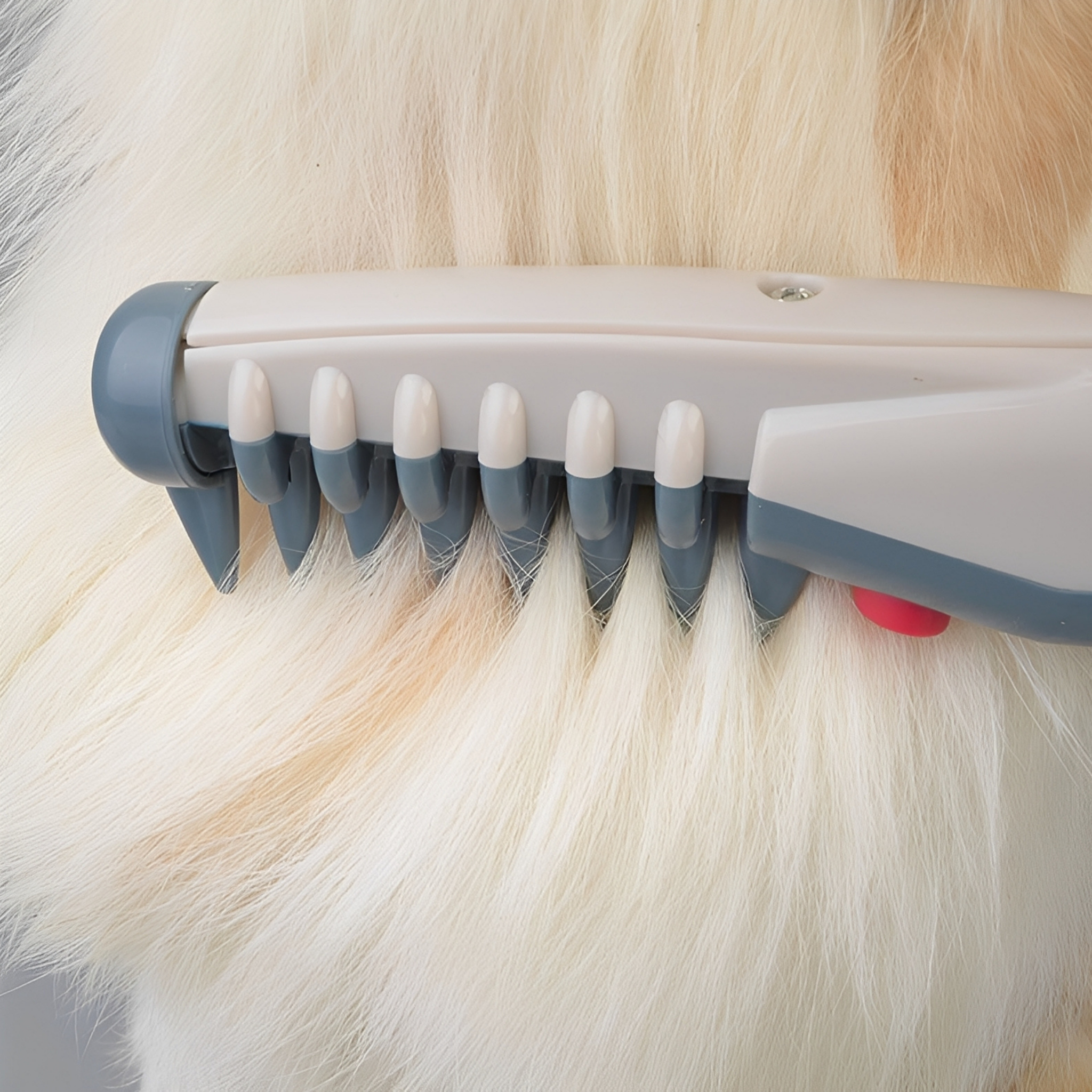Trimora | Leiser Haustiertrimmer für sanfte Pflege