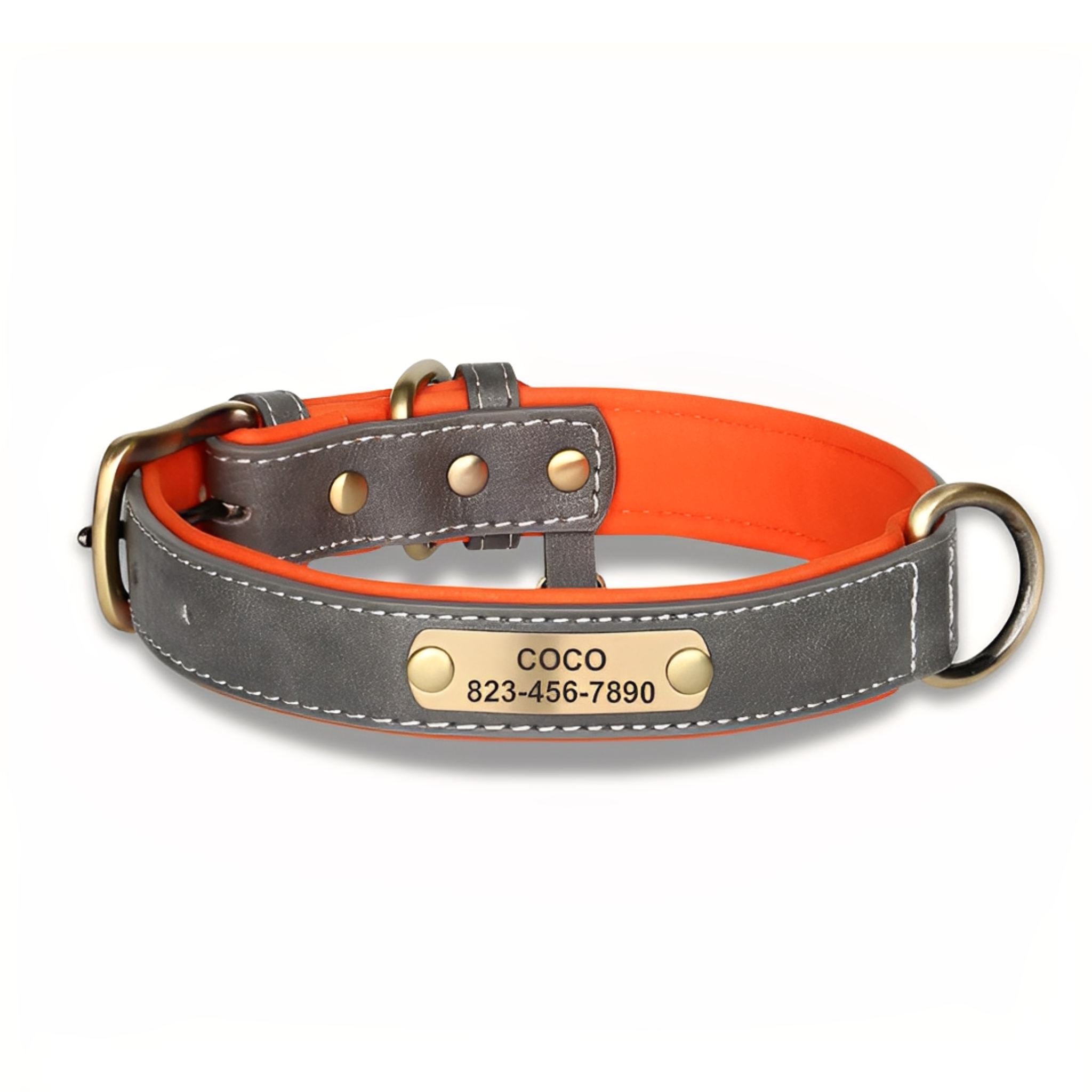 CanisCraft | Gravierte Leder-Hundehalskette