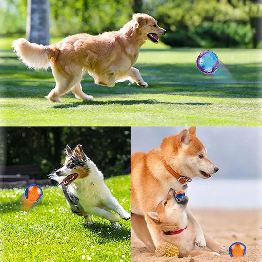 BelloBite | Robuster Kauspielball für Hunde mit Sprung- & Spielspaß-Effekt