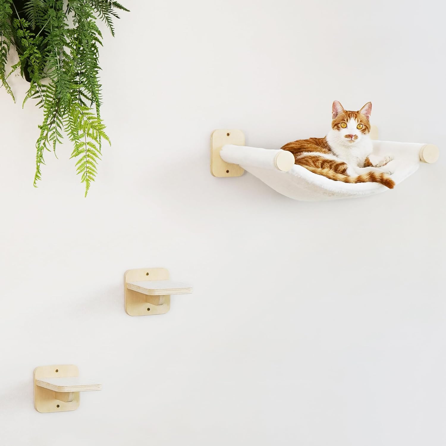 KletterMiez | Katzen-Wandspielplatz mit Hängematte & Kletterstufen