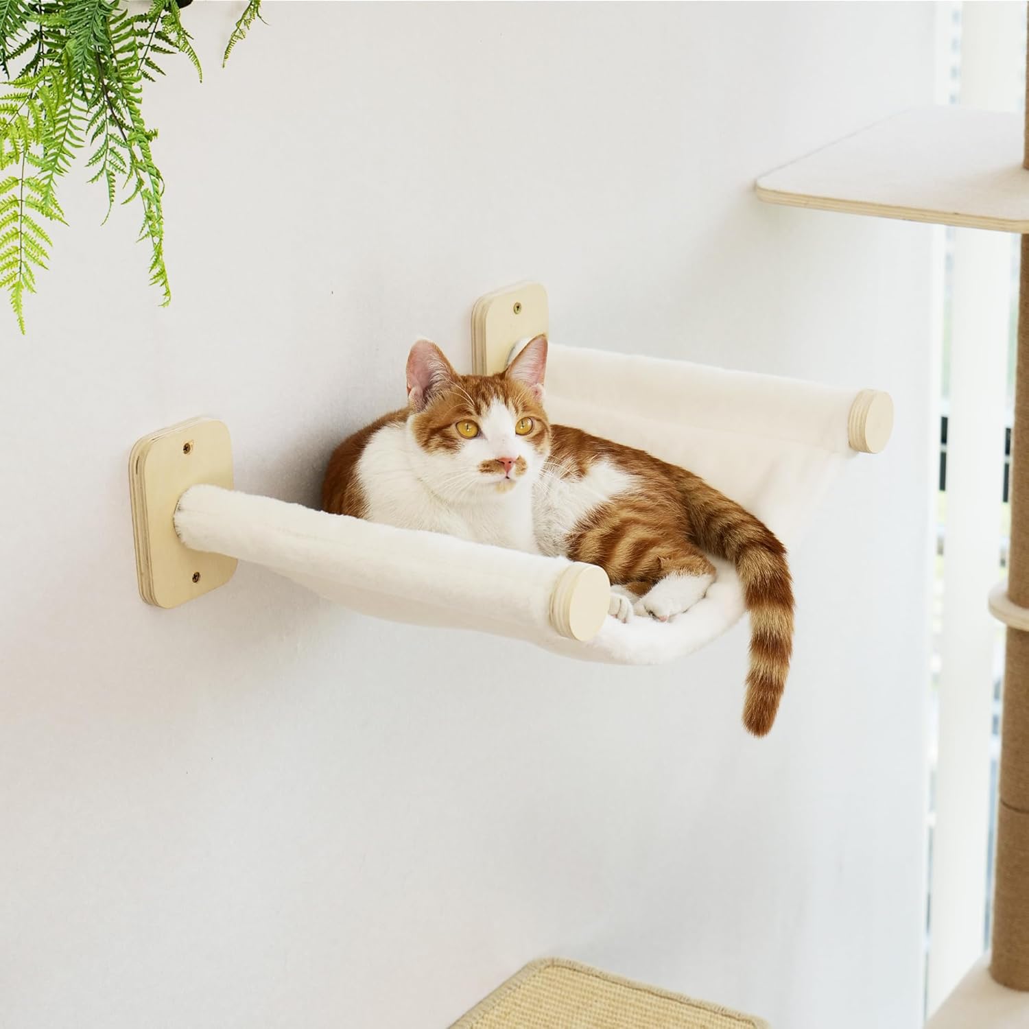KletterMiez | Katzen-Wandspielplatz mit Hängematte & Kletterstufen
