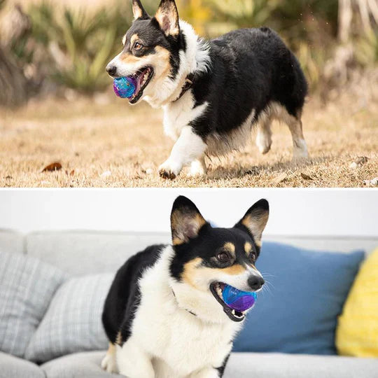 BelloBite | Robuster Kauspielball für Hunde mit Sprung- & Spielspaß-Effekt