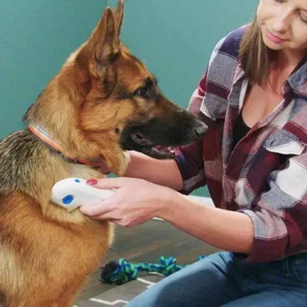 Max | Elektronischer Flohkamm für Hunde & Katzen