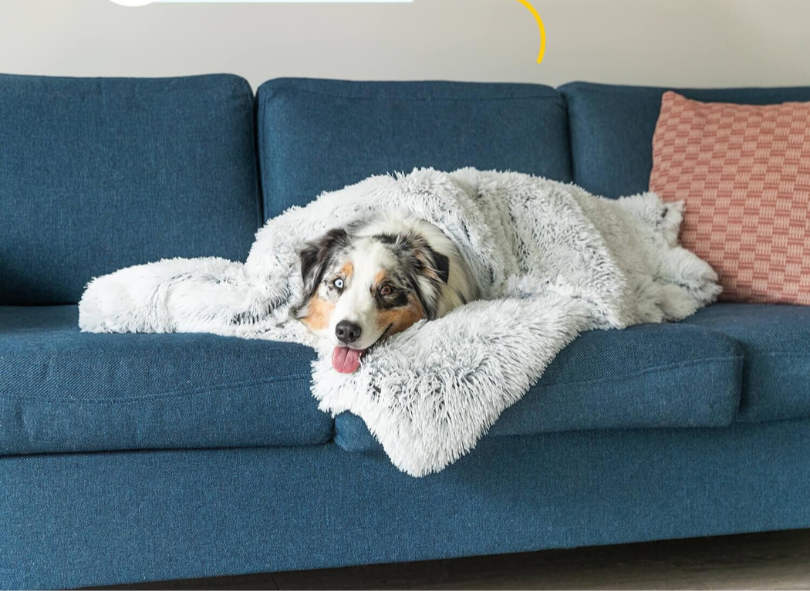 SnugTail | Beruhigende Hundedecke mit Anti-Stress-Funktion