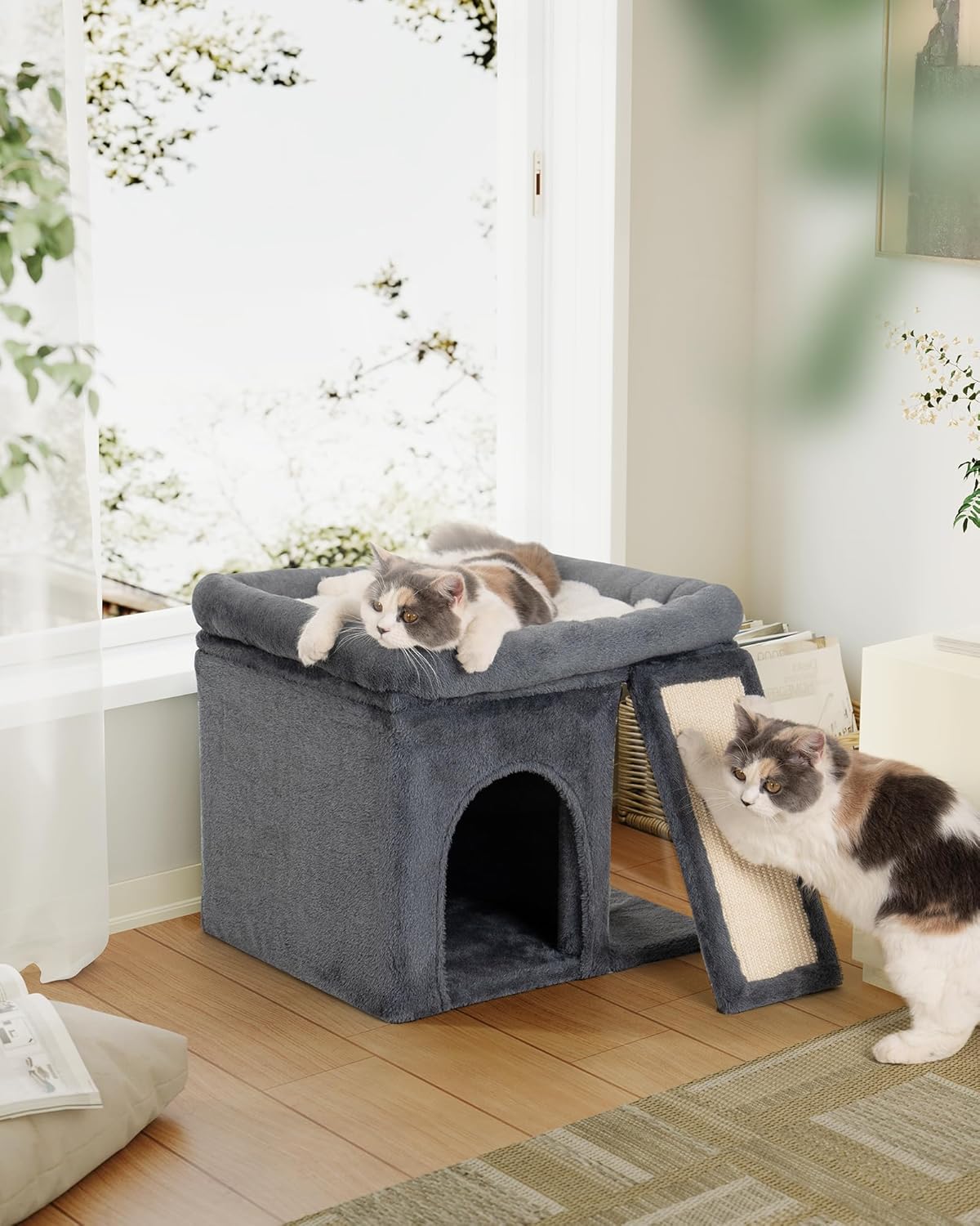 MiauCasa | Kratzbaum für große Katzen mit Liegefläche & Kuschelhöhle