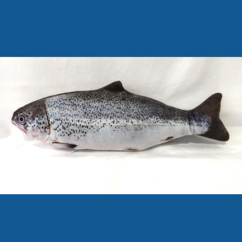 FeliFun | Realistisches Fisch-Plüschspielzeug für Katzen mit Bewegungseffekt