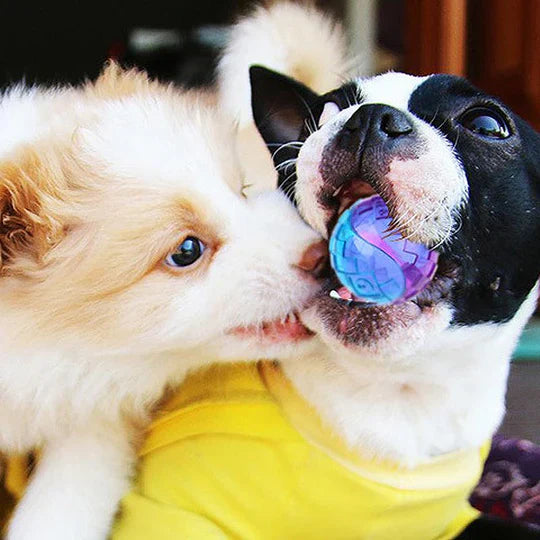 BelloBite | Robuster Kauspielball für Hunde mit Sprung- & Spielspaß-Effekt