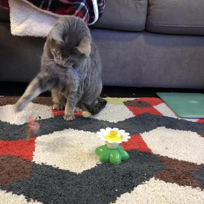 TigraFlitz | Interaktives Flugspielzeug für Katzen mit Kolibri & Schmetterling