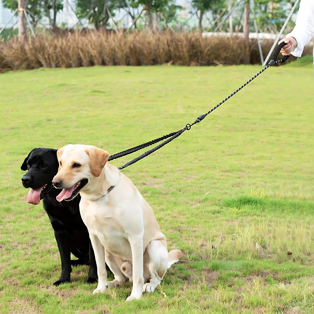 LupoMax | Verstellbare Doppelleine für Hunde mit Stoßdämpfer und rutschfestem Griff