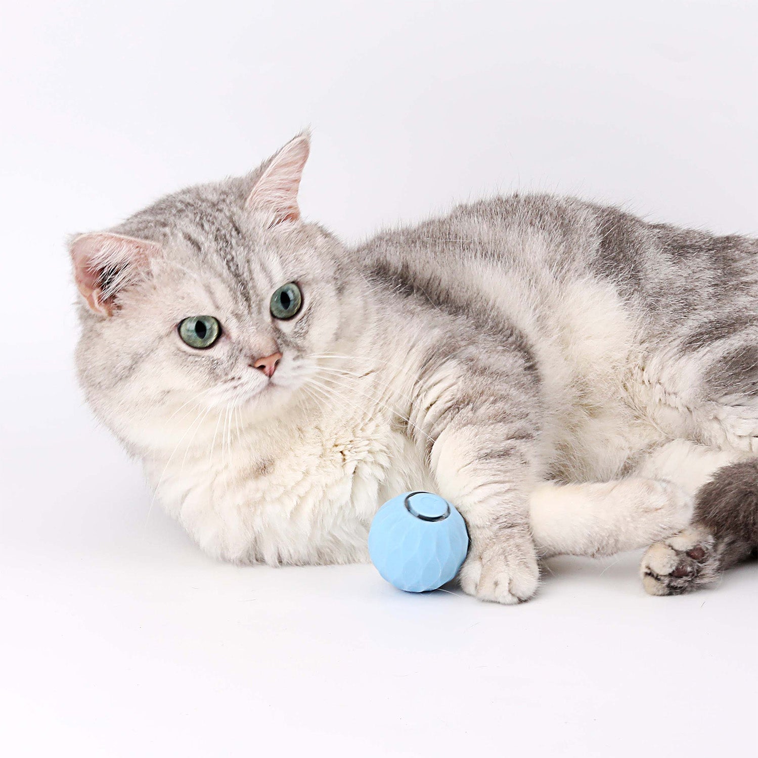 Wloomy | Interaktiver Power-Spielball für Katzen