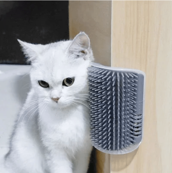 MiraMiau | Selbstpflege-Bürste für Katzen zur Wandmontage