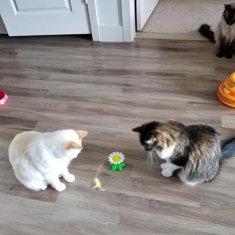 TigraFlitz | Interaktives Flugspielzeug für Katzen mit Kolibri & Schmetterling