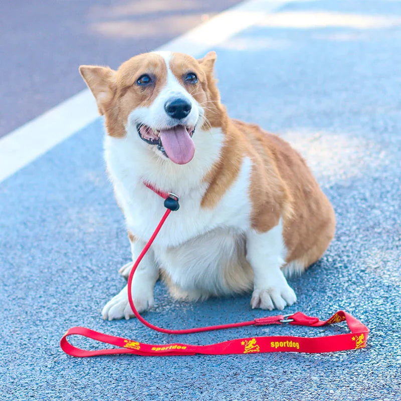 Toro | 2-in-1 Schlupfleine mit integriertem Halsband für Training & Spaziergang
