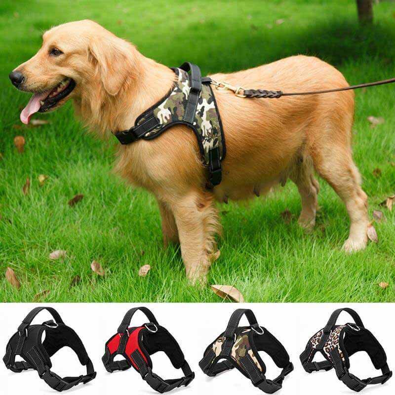 SafeStrap | Verstellbares Premium-Hundegeschirr für Sicherheit & Komfort