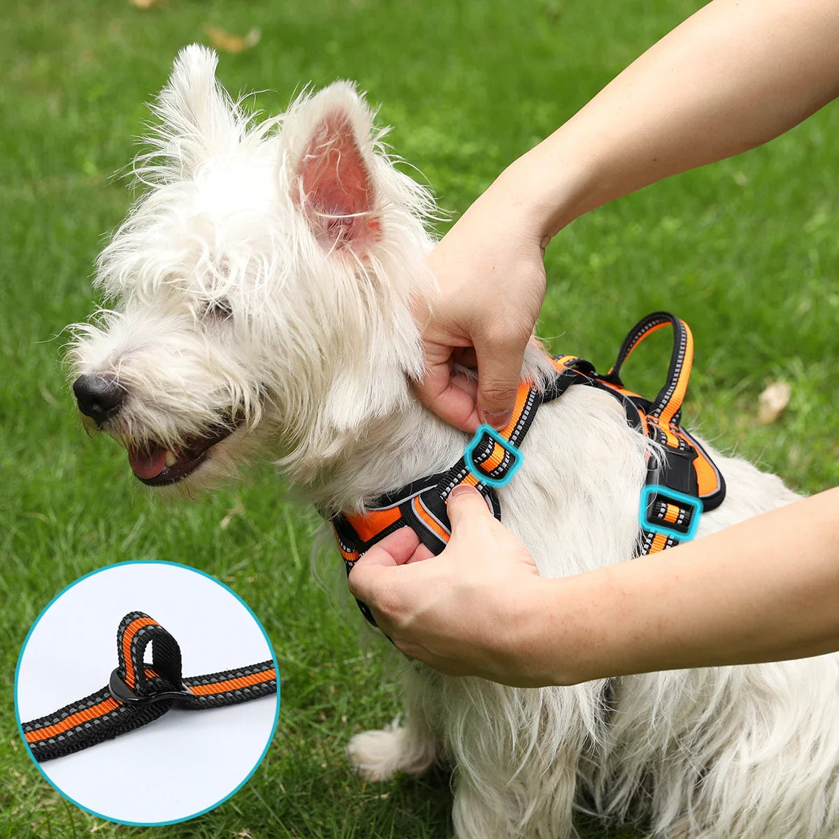LupoGuard | Verstellbares Hundegeschirr mit reflektierenden Sicherheitsstreifen