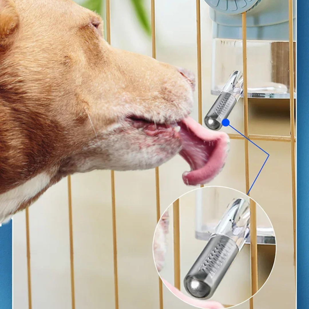 FlowPet | Hängender Wasserspender für Haustiere