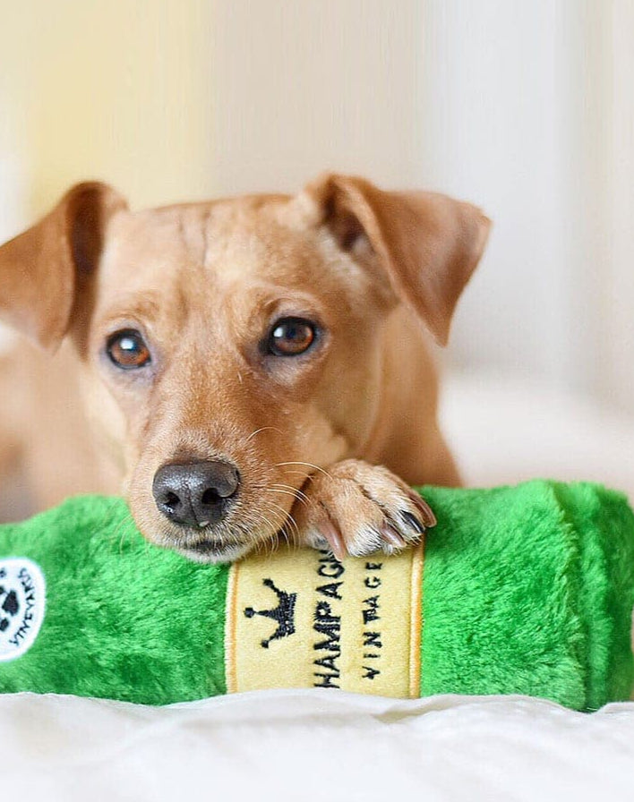 Bellvino | Hundespielzeug – Plüsch Champagnerflasche
