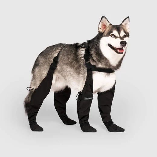 BergWuff | Outdoor-Schutzstiefel für Hunde