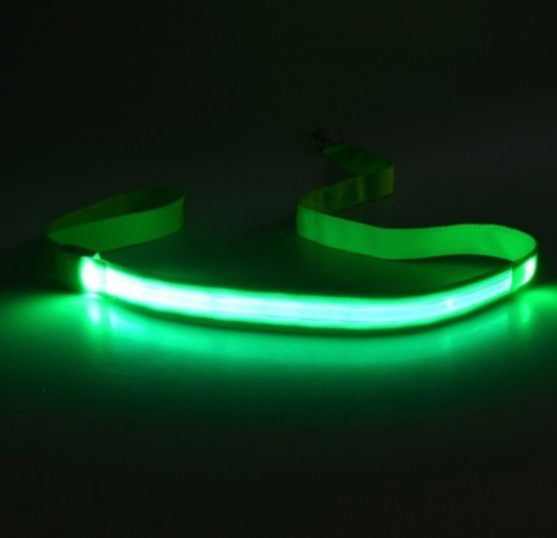 LumiPaw | LED Hundeleine mit USB-Aufladung und 3 Leuchtmodi