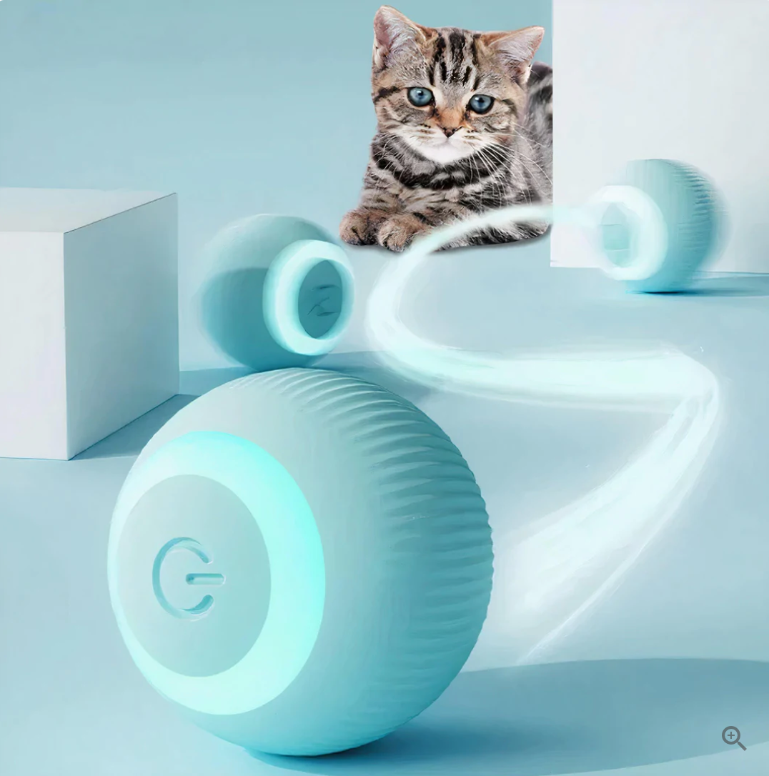 Felina | Intelligenter Selbstrollender Spielball für Katzen