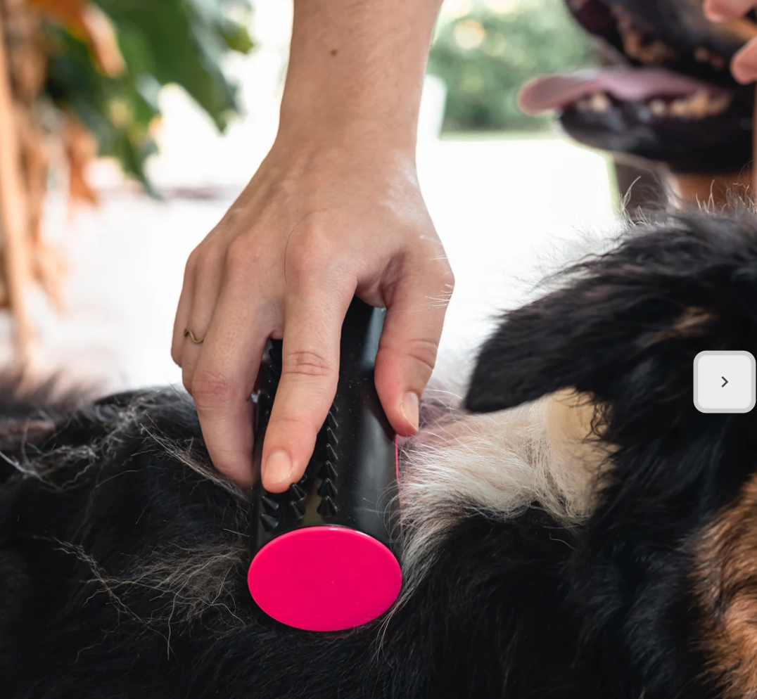 Liora | 2-in-1 Premium Haustierbürste mit Massagefunktion