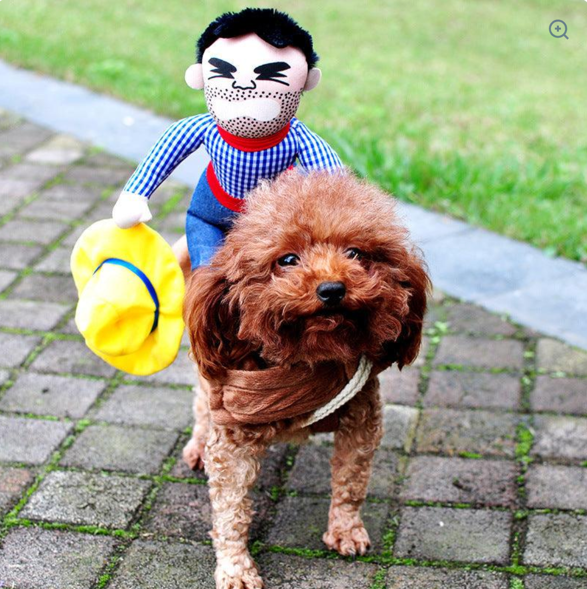Brutus | Lustiges Halloween-Hundekostüm mit Horrordesign
