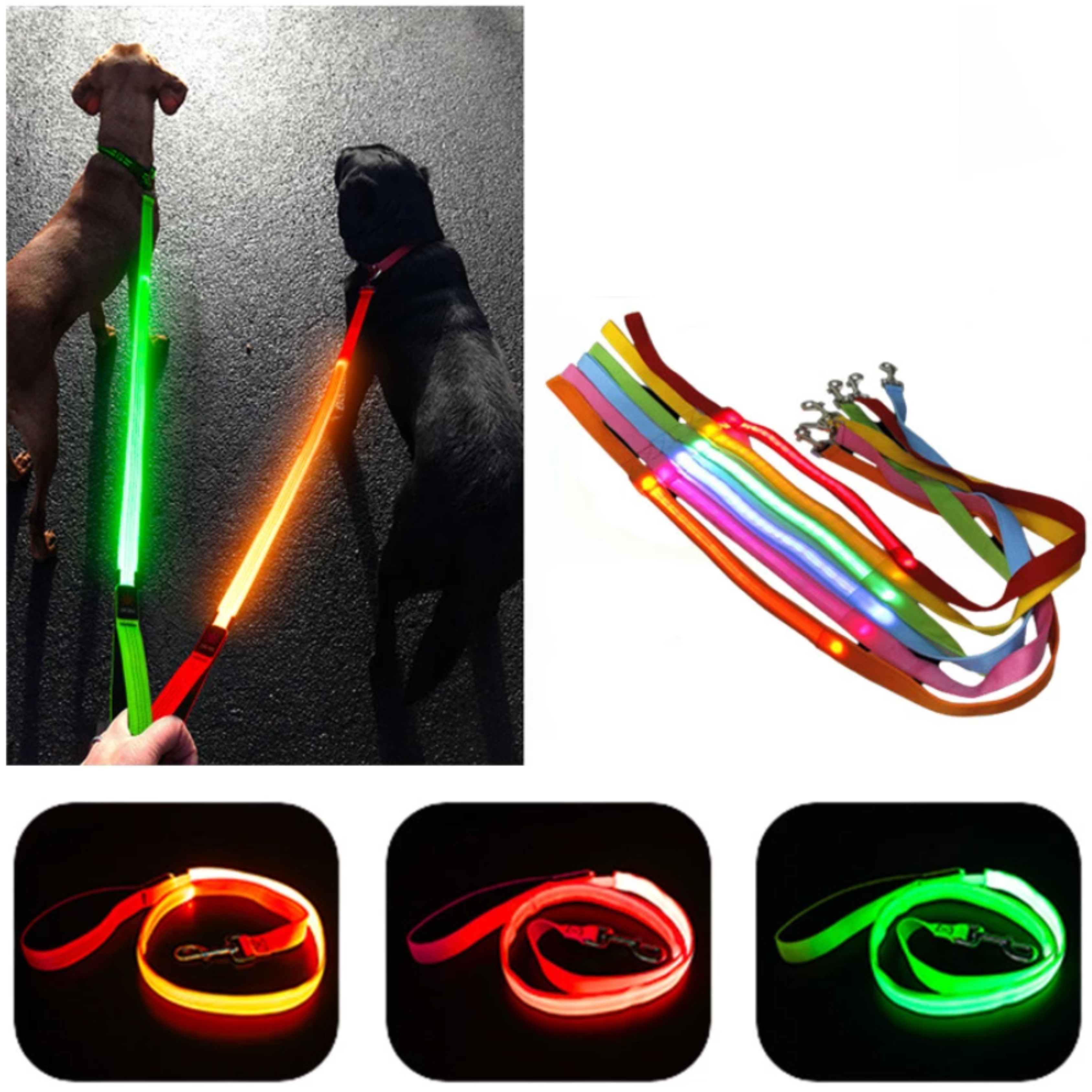 LumiPaw | LED Hundeleine mit USB-Aufladung und 3 Leuchtmodi