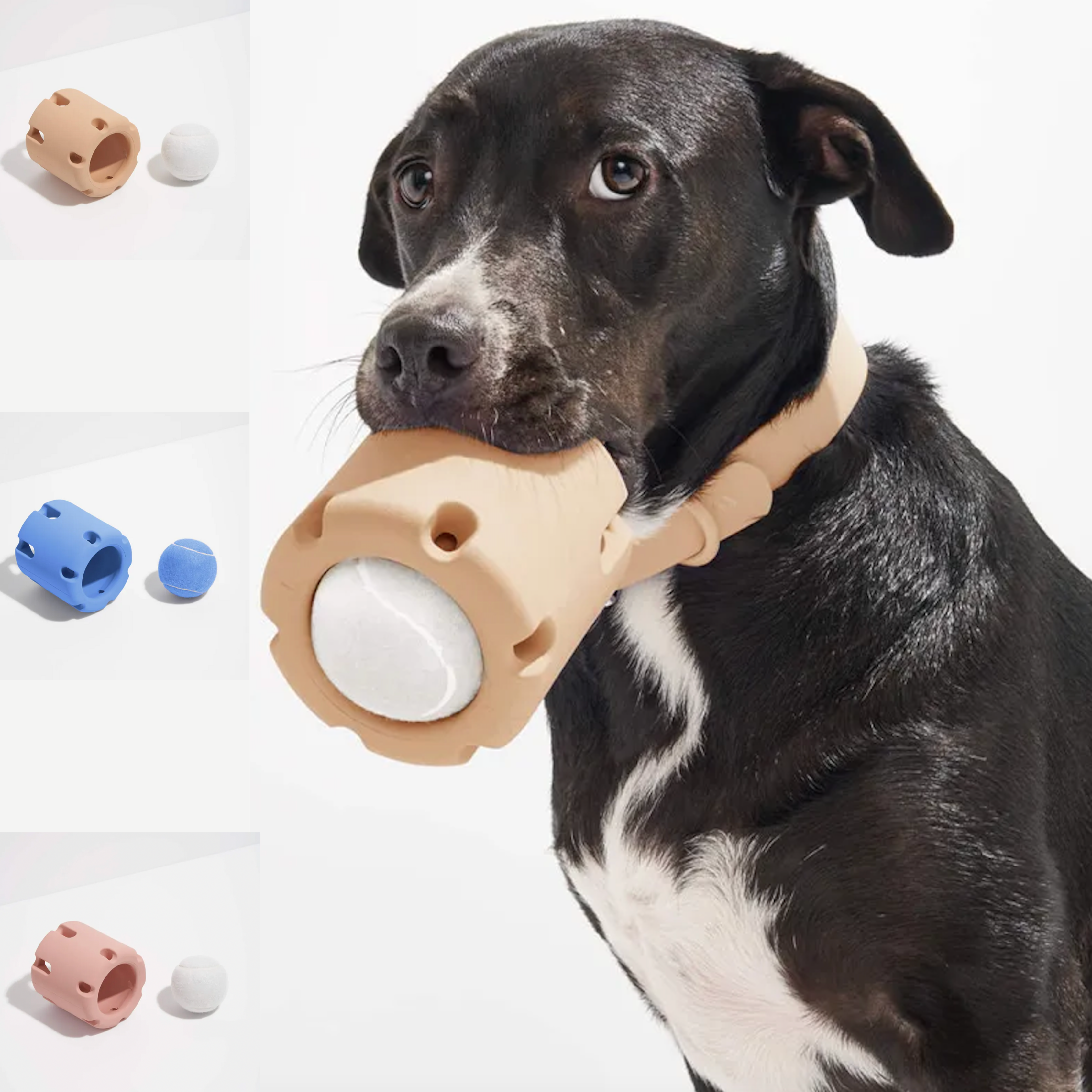 Rufus | Intelligenter Leckerli-Trommelball für Hunde