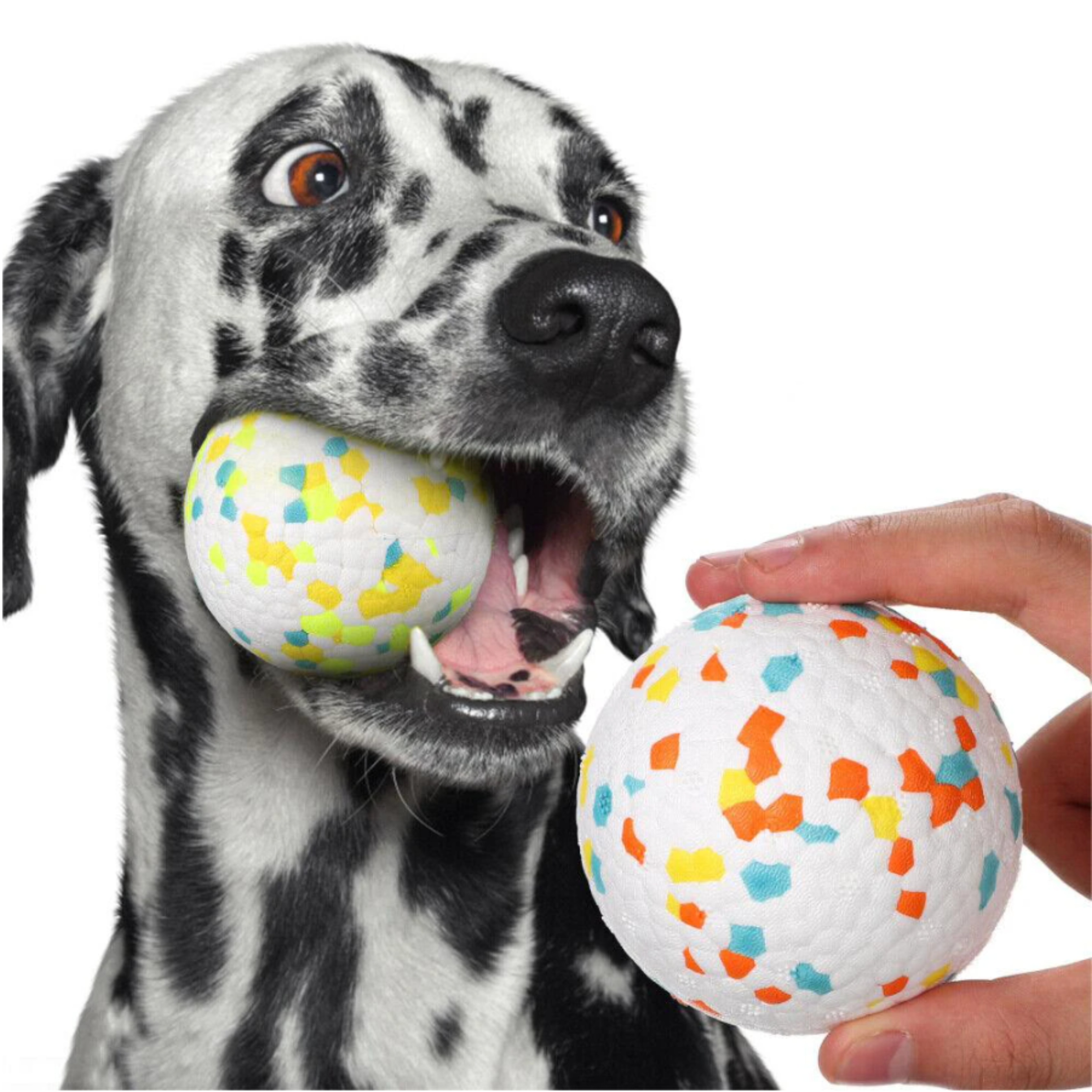Rexor | Unzerstörbarer Spielball für Hunde mit Zahnpflege-Effekt