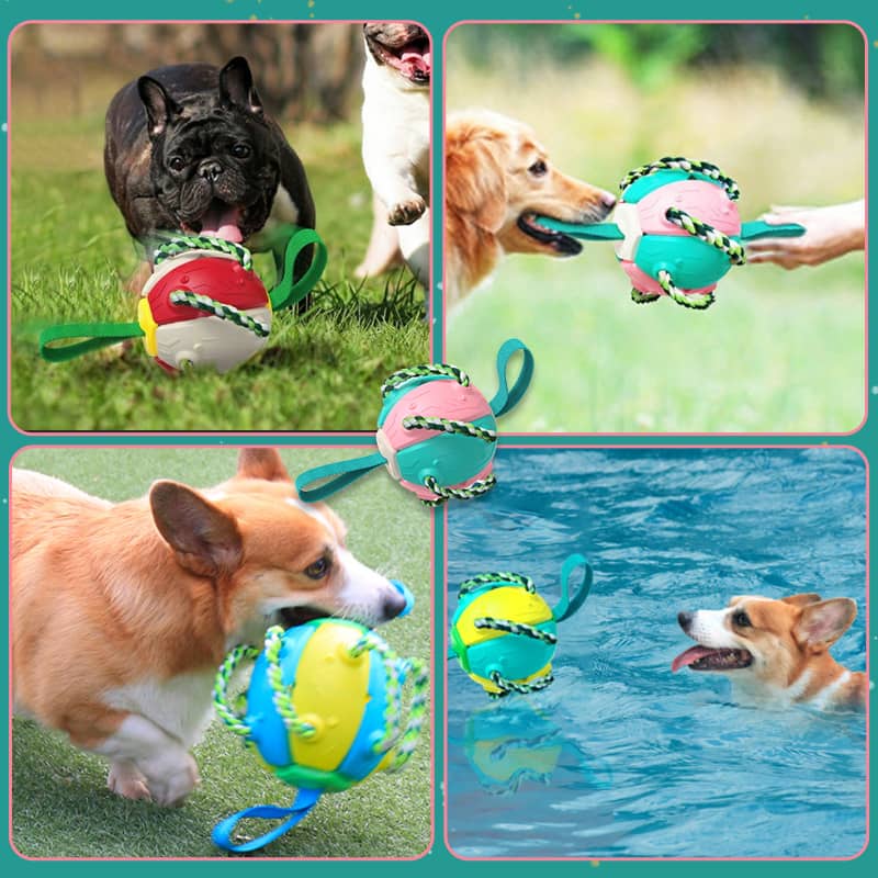 Brando | Interaktiver Hundespielball mit Schleuderfunktion