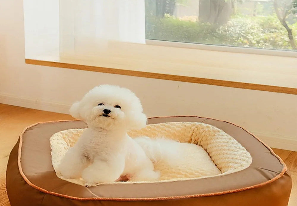 Dog Sleeping Dorimia Bed