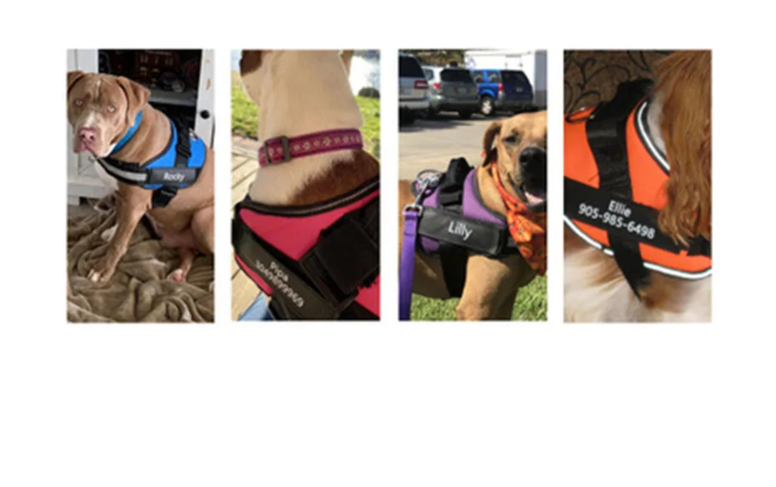 Arkon | Austauschbare Klett-Schilder für Hundegeschirr & Arbeitsgeschirre
