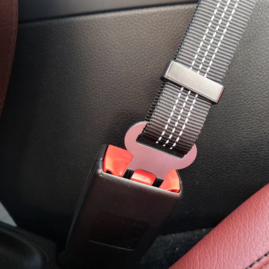 Bruno | Elastischer Sicherheitsgurt für Haustiere mit Anschnallclip