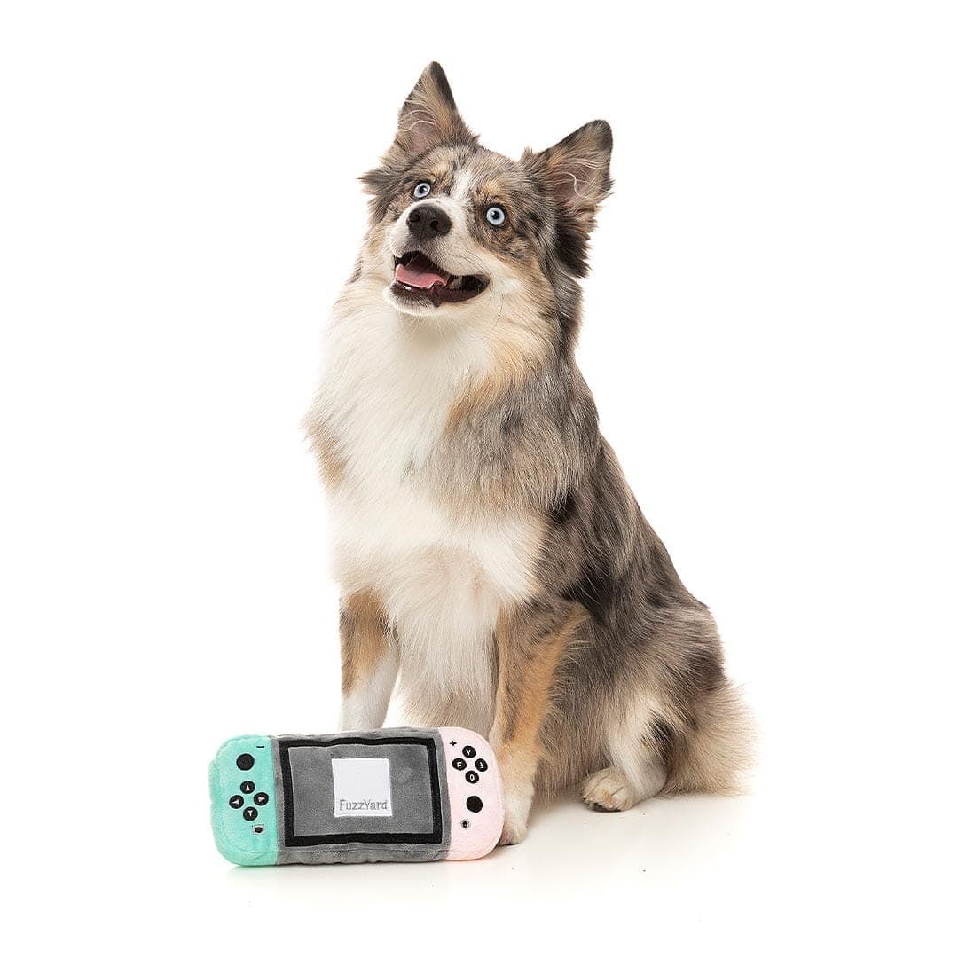 PupPlayTech | Dogtendo Sniff Console