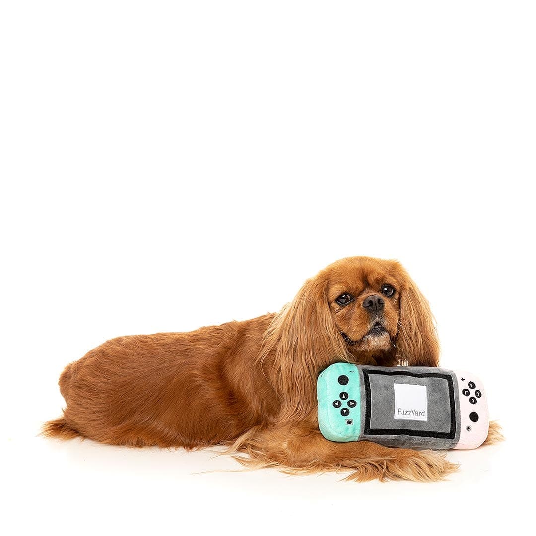 PupPlayTech | Dogtendo Sniff Console