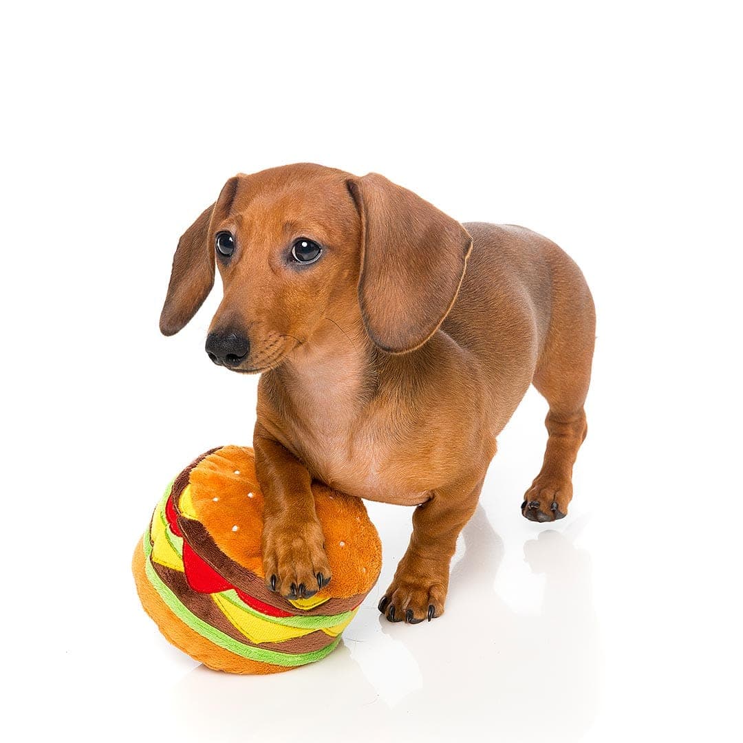 BelloBiss | Plüsch-Hamburger Hundespielzeug mit Quietscher