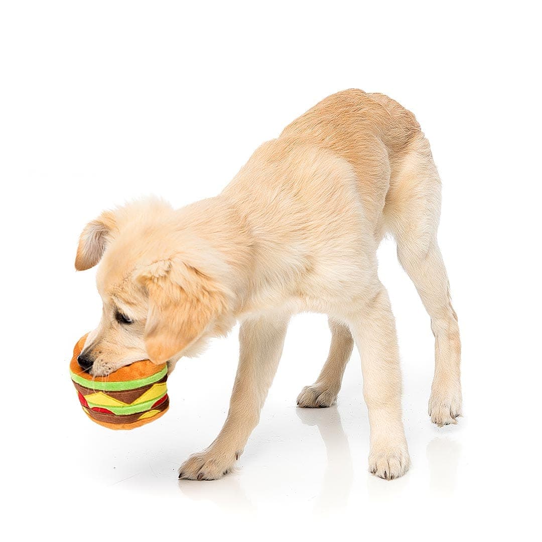 BelloBiss | Plüsch-Hamburger Hundespielzeug mit Quietscher