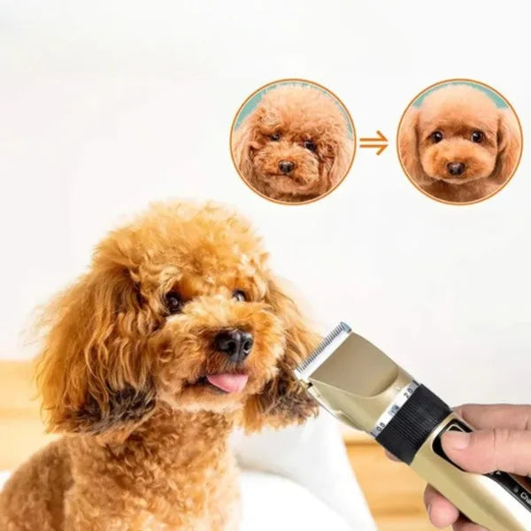 QuietPaws | Leises Felltrimmer‑Set für Hunde