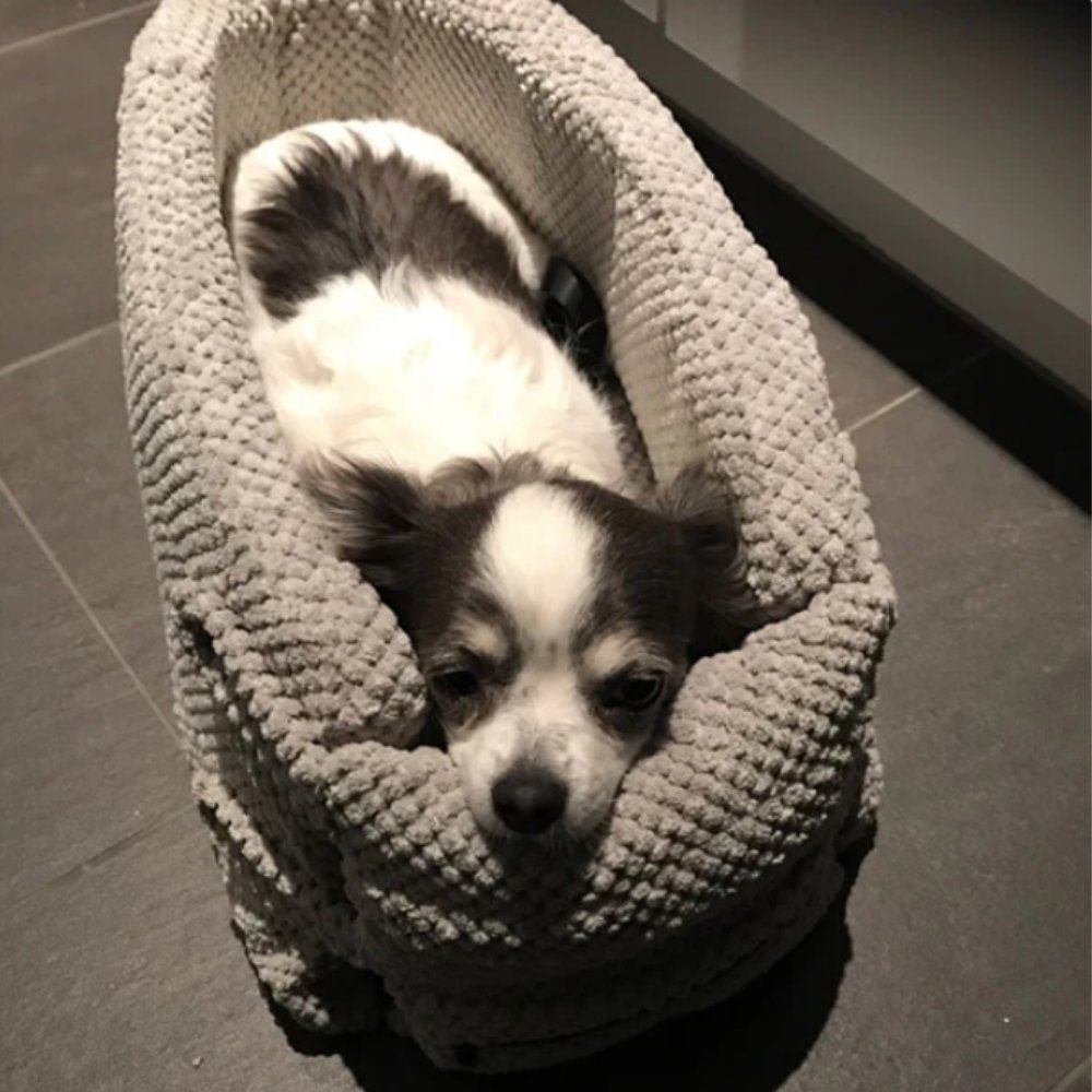 Gezellige Comfort Hondenzitje voor de Auto – Zacht, Duurzaam en Veilig met Verstelbare Riemen