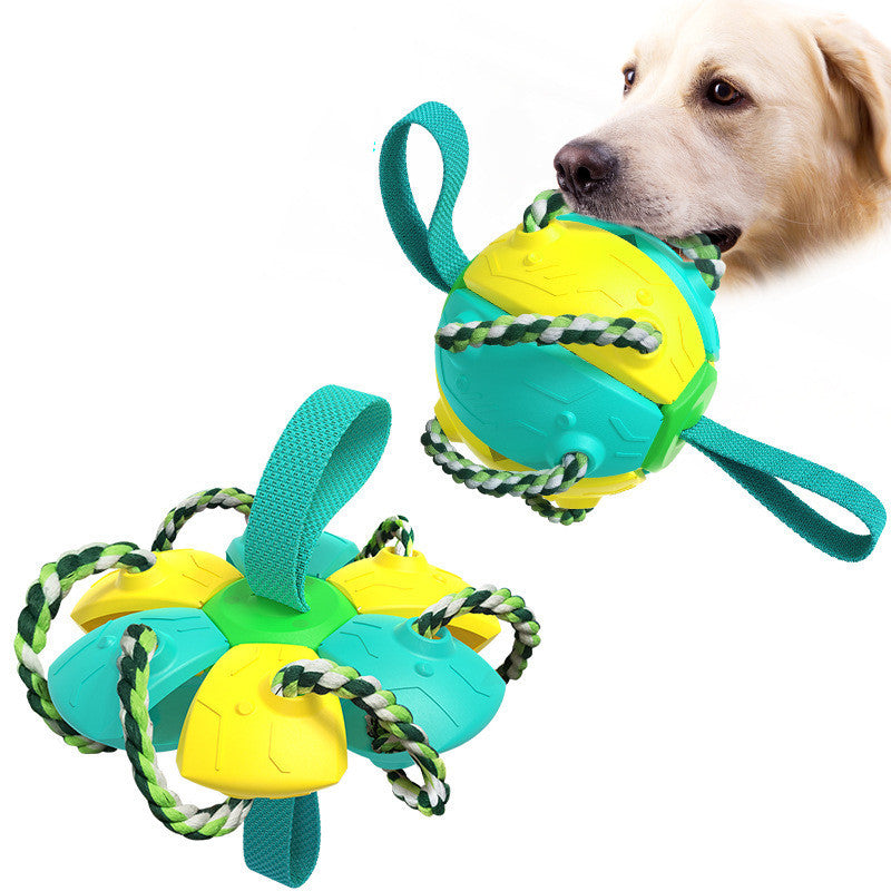 Brando | Interaktiver Hundespielball mit Schleuderfunktion