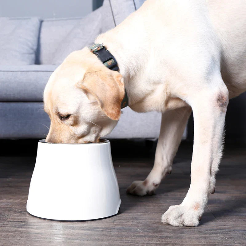 Arvetti | Ergonomischer Futternapf für Hunde & Katzen mit Edelstahlschale