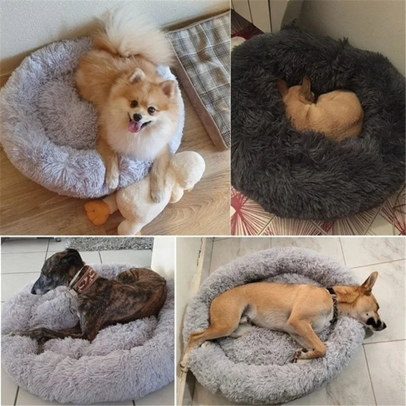 SnoozePaw | Donut Hundebett mit extra weichem Plüsch