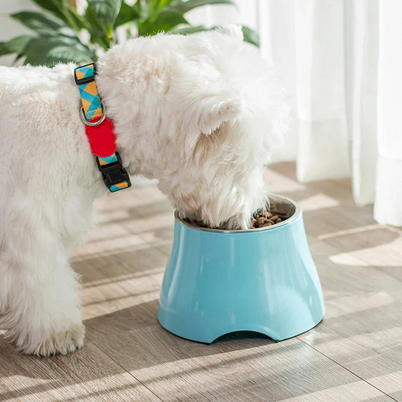 Arvetti | Ergonomischer Futternapf für Hunde & Katzen mit Edelstahlschale
