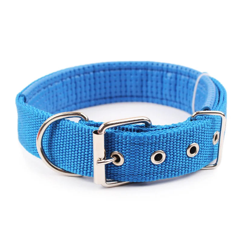 Brando | Verstellbares Nylon-Hundehalsband für aktive Hunde