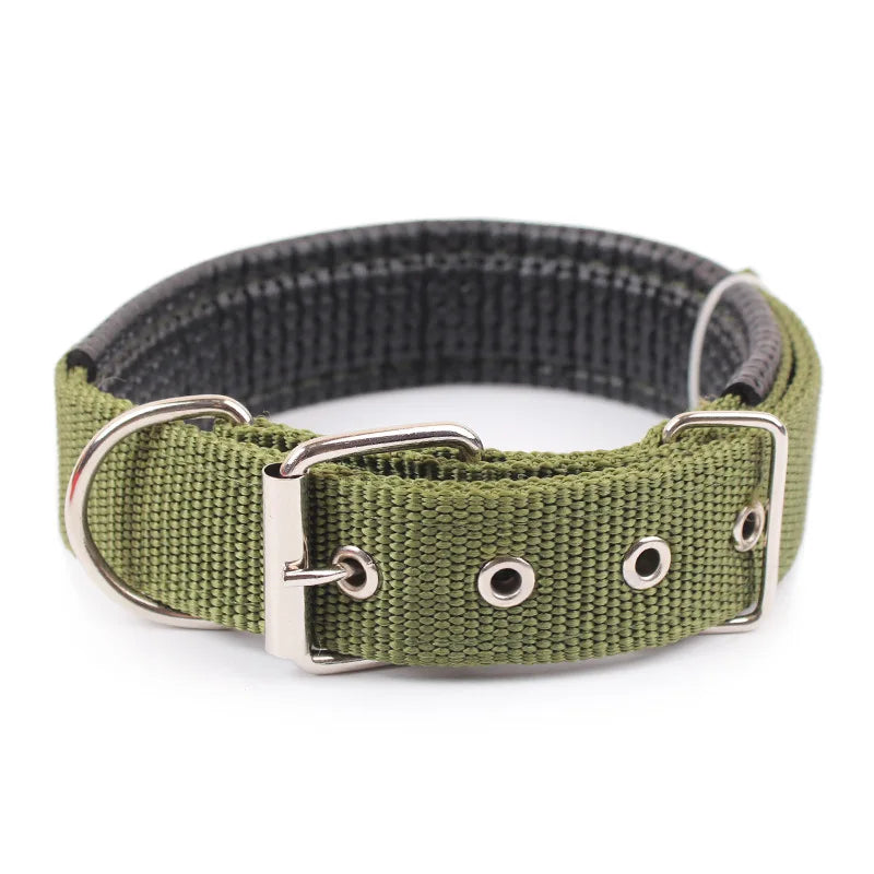Brando | Verstellbares Nylon-Hundehalsband für aktive Hunde