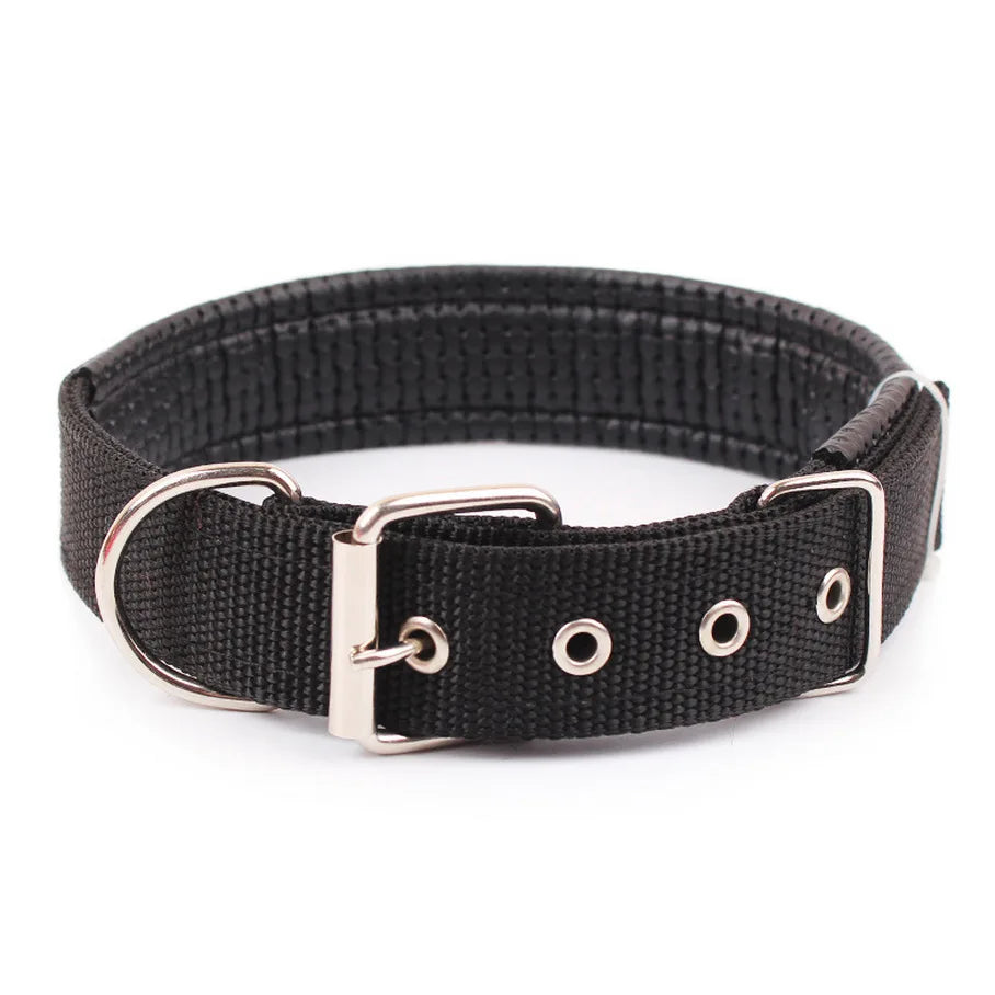 Brando | Verstellbares Nylon-Hundehalsband für aktive Hunde
