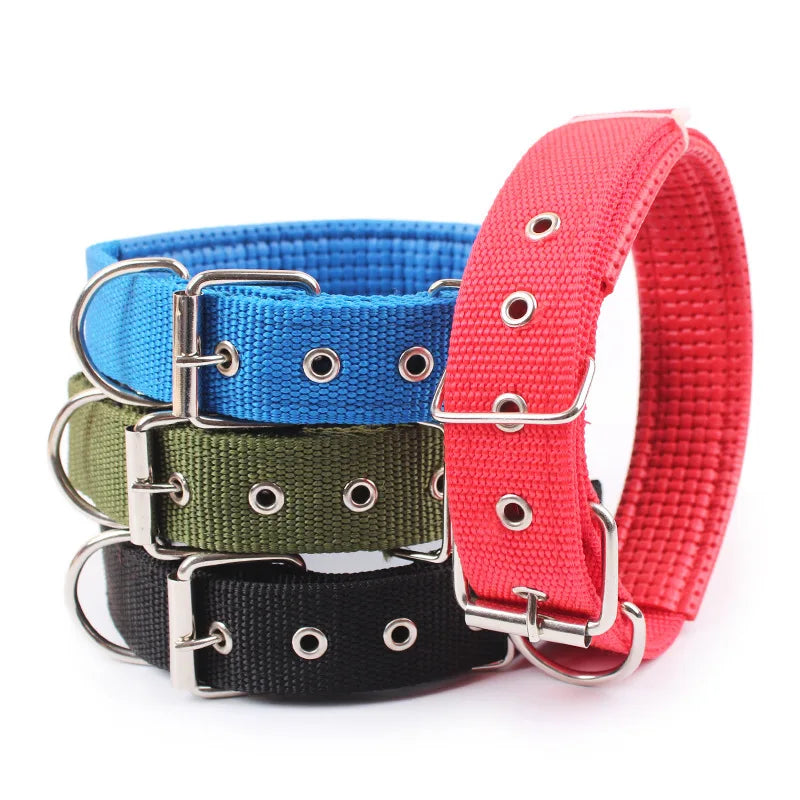 Brando | Verstellbares Nylon-Hundehalsband für aktive Hunde